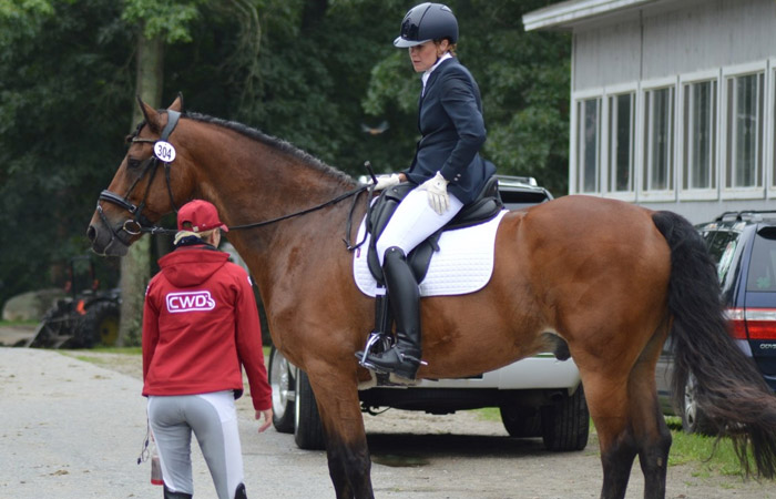 Double A Equestrians