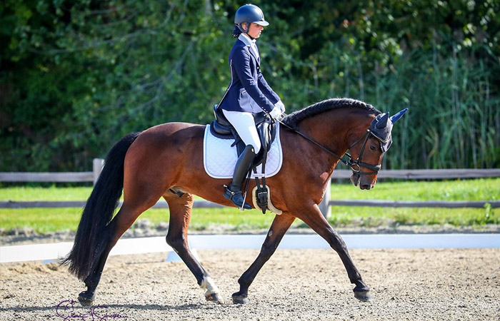 Double A Equestrians