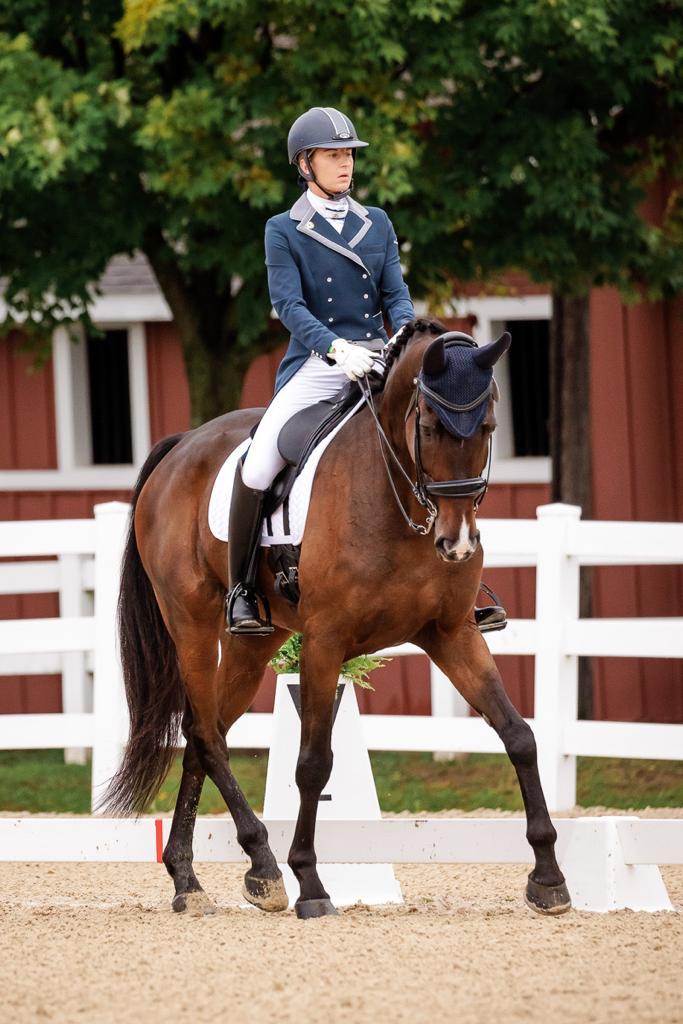 Professional Dressage Training with LAM Dressage
