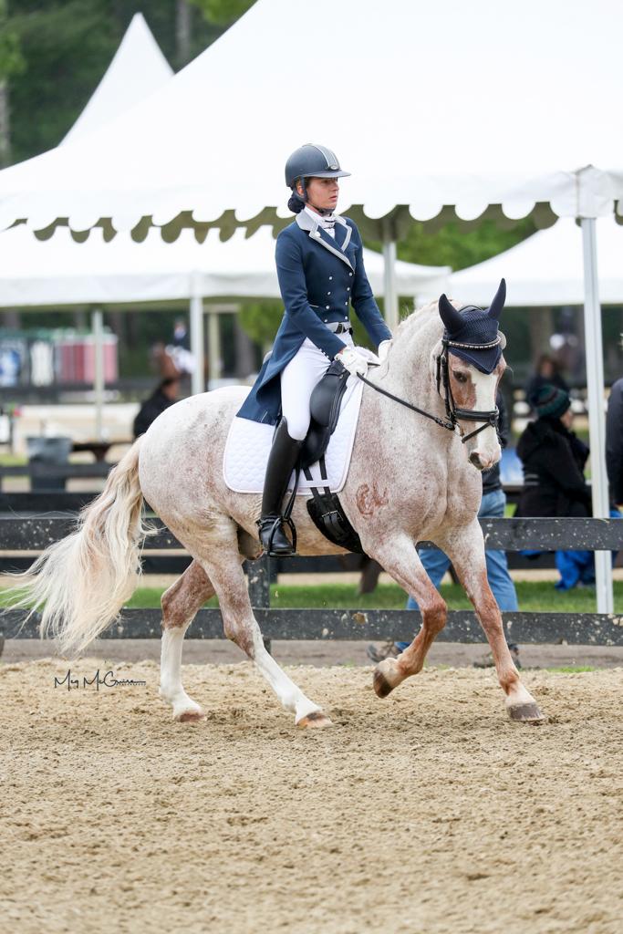 LAM Dressage offers high performance equine training