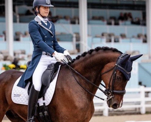 LAM Competition & Show Coaching