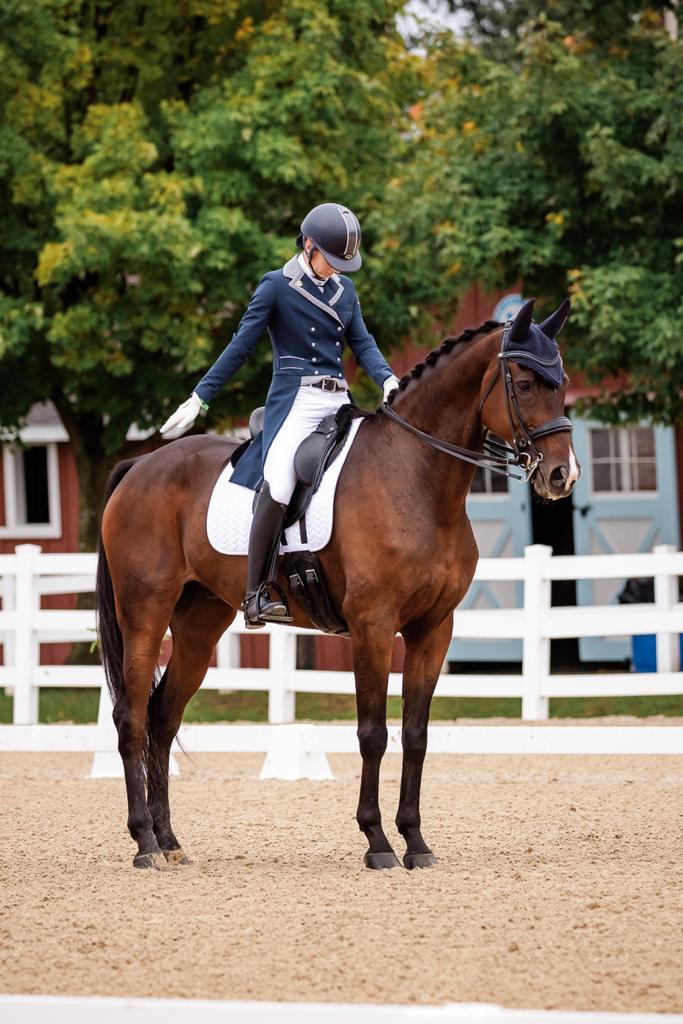 High-performance dressage training for ambitious riders & exceptional horses with LAM Dressage