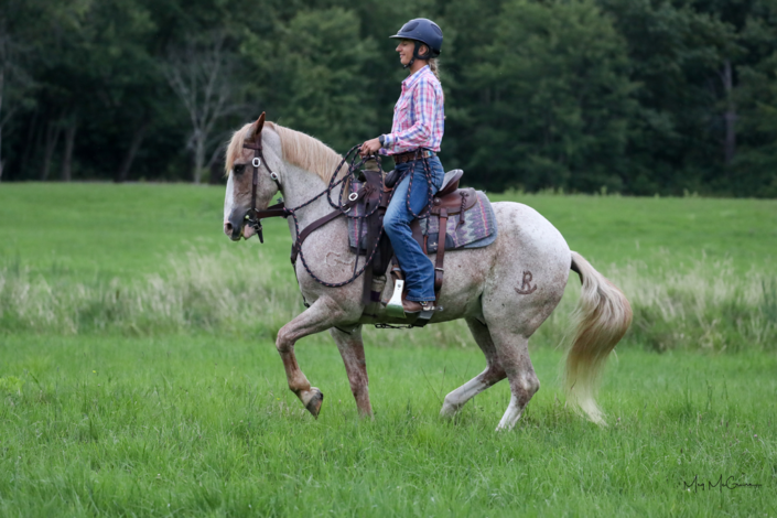 LAM Dressage with Leslie Ann McGowan