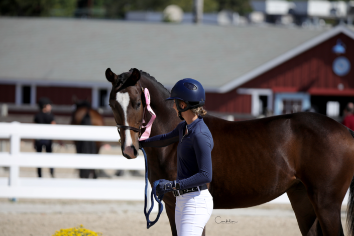 LAM Dressage Training with Leslie Ann McGowan