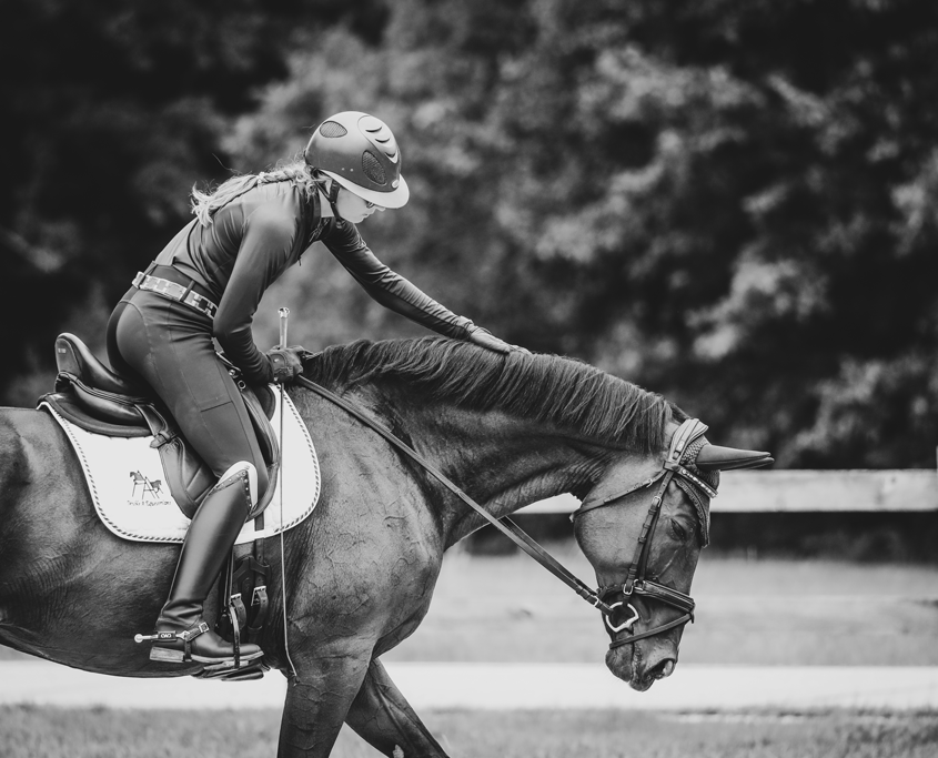 LAM Dressage offers a full-service training and competition program for dedicated riders