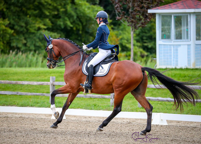 competitive dressage with LAM Dressage