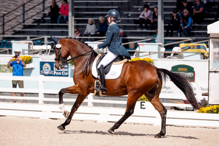 Competitive riding with LAM Dressage, showcased in the LAM photo gallery