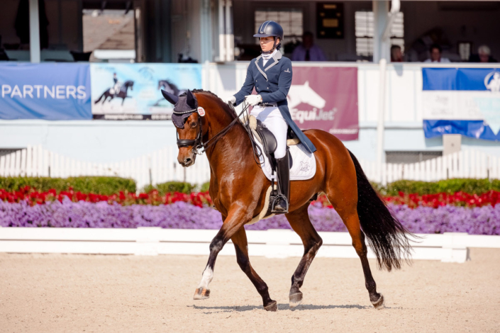 LAM Dressage riding in competition