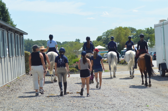 LAM Dressage training