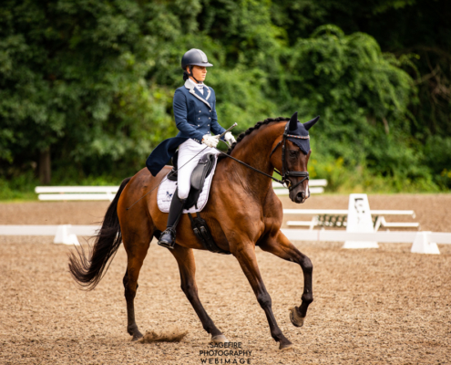 Equine Training and High performance coaching offered by LAM Dressage
