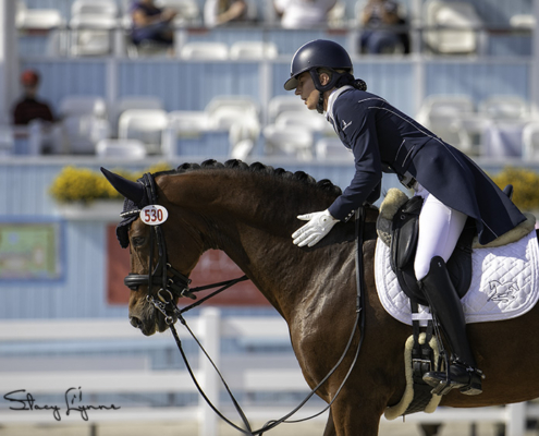 Competitive Equine Training with LAM Dressage