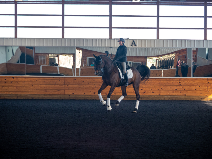 LAM Dressage, photo gallery