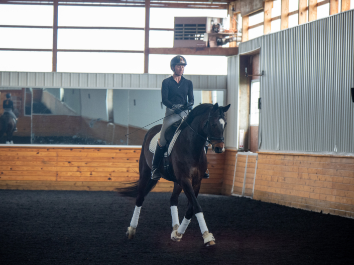 LAM Dressage, photo gallery