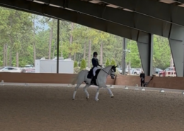 Leslie Ann McGowan was among the featured horse-and-rider participants during the recent Horses & Harmony event held at Stable View in Aiken, South Carolina.