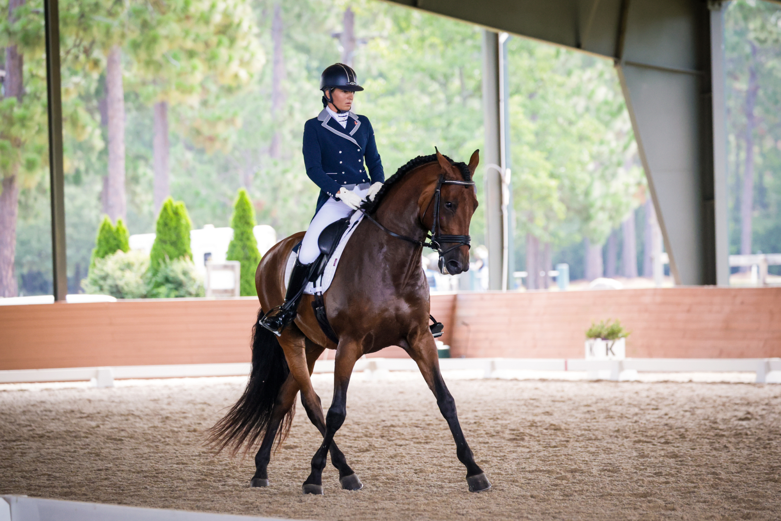 LAM Dressage debuts Desafio Del Lago in competition.