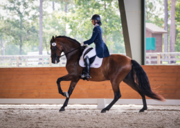 LAM Dressage debuts Desafio Del Lago in competition.
